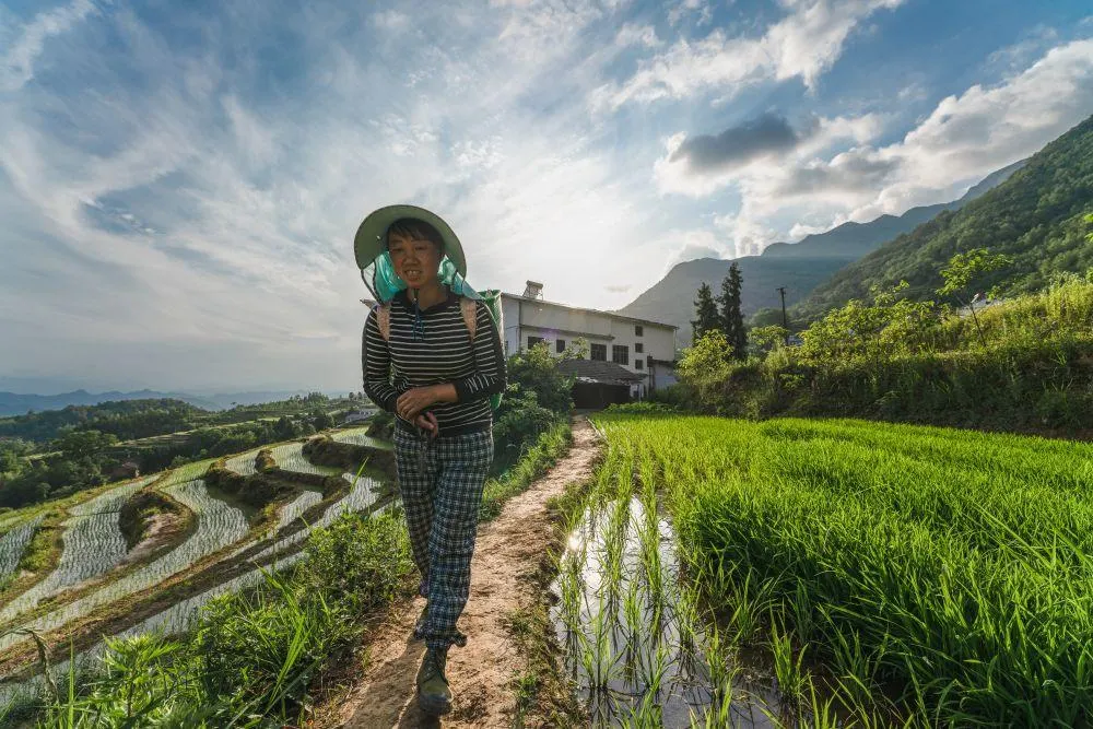 Vida rural na China